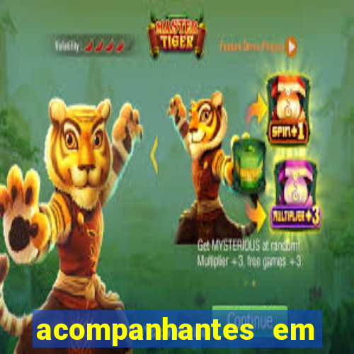 acompanhantes em feira de santana bahia