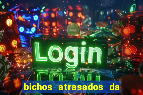 bichos atrasados da loteria federal