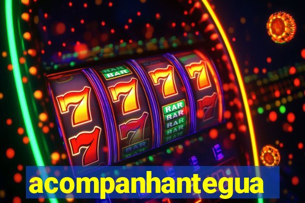 acompanhanteguanambi