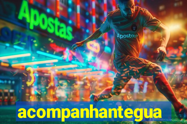 acompanhanteguanambi