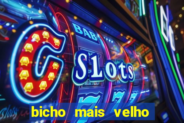 bicho mais velho da loteria dos sonhos