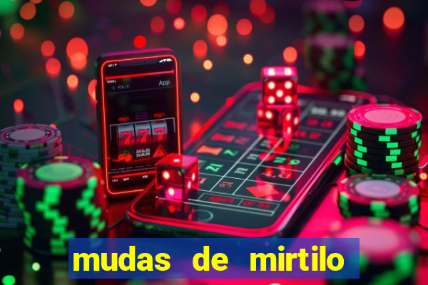 mudas de mirtilo em porto alegre