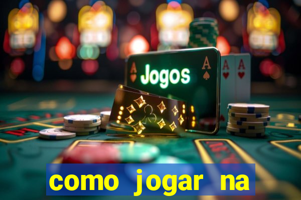 como jogar na lotinha do jogo do bicho