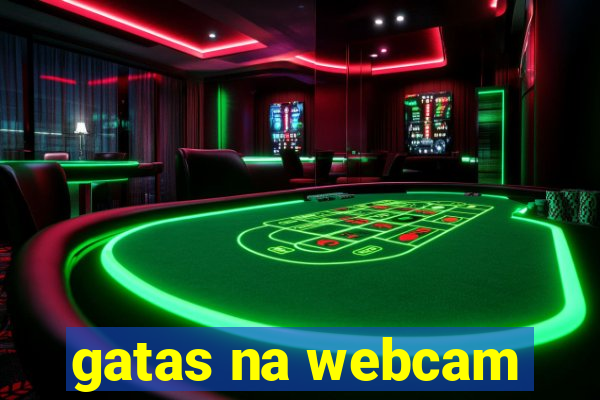gatas na webcam