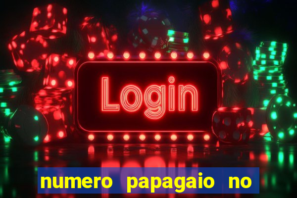 numero papagaio no jogo do bicho