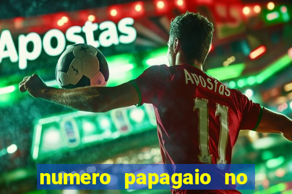numero papagaio no jogo do bicho