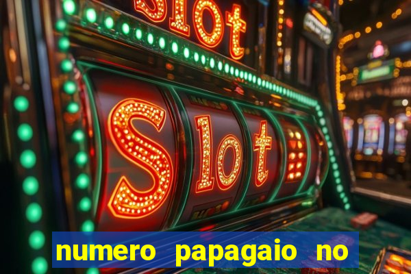 numero papagaio no jogo do bicho