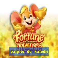 palpite do kaledri para o jogo do bicho