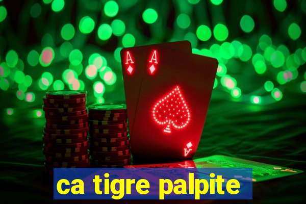 ca tigre palpite