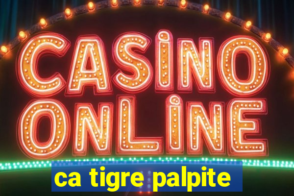 ca tigre palpite