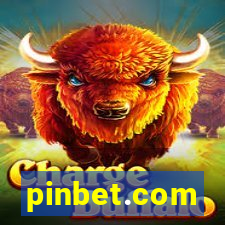 pinbet.com