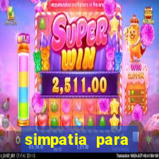 simpatia para ganhar na loteria com folha de louro