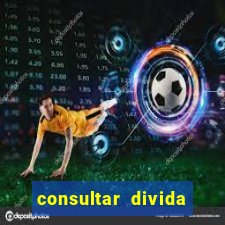 consultar divida casas bahia