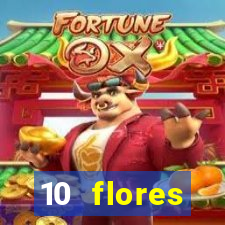 10 flores silvestres do nordeste