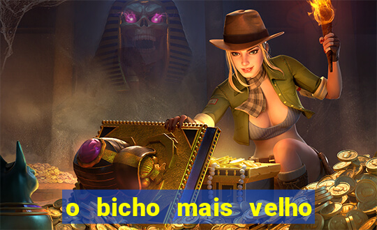 o bicho mais velho da loteria dos sonhos