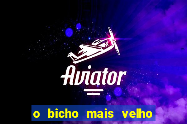 o bicho mais velho da loteria dos sonhos