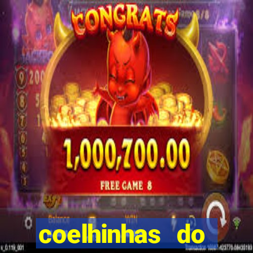 coelhinhas do brasil jp