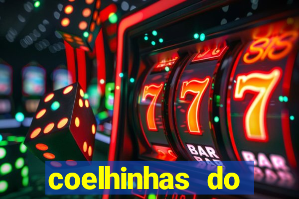 coelhinhas do brasil jp
