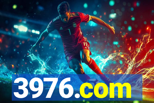 3976.com