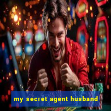 my secret agent husband