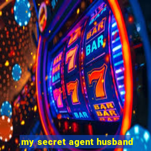 my secret agent husband
