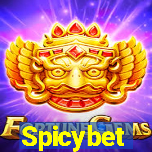 Spicybet