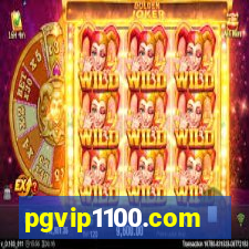 pgvip1100.com