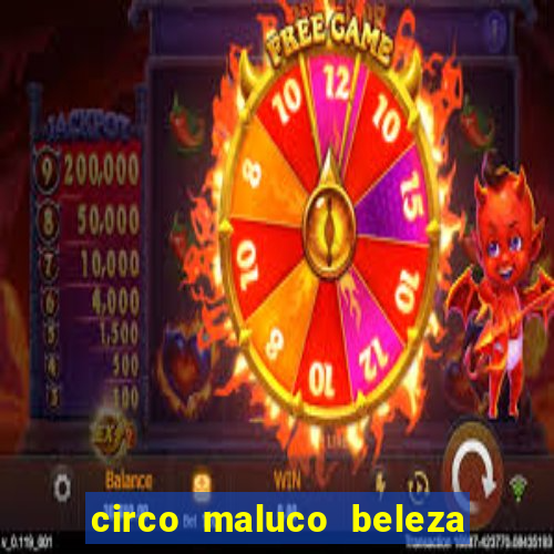 circo maluco beleza recife circo maluco