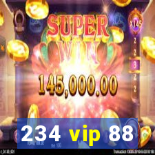 234 vip 88