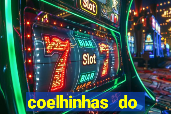 coelhinhas do brasil recife