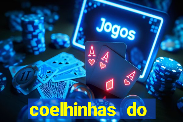coelhinhas do brasil recife
