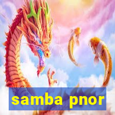 samba pnor