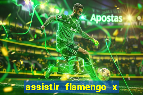assistir flamengo x bahia multicanais