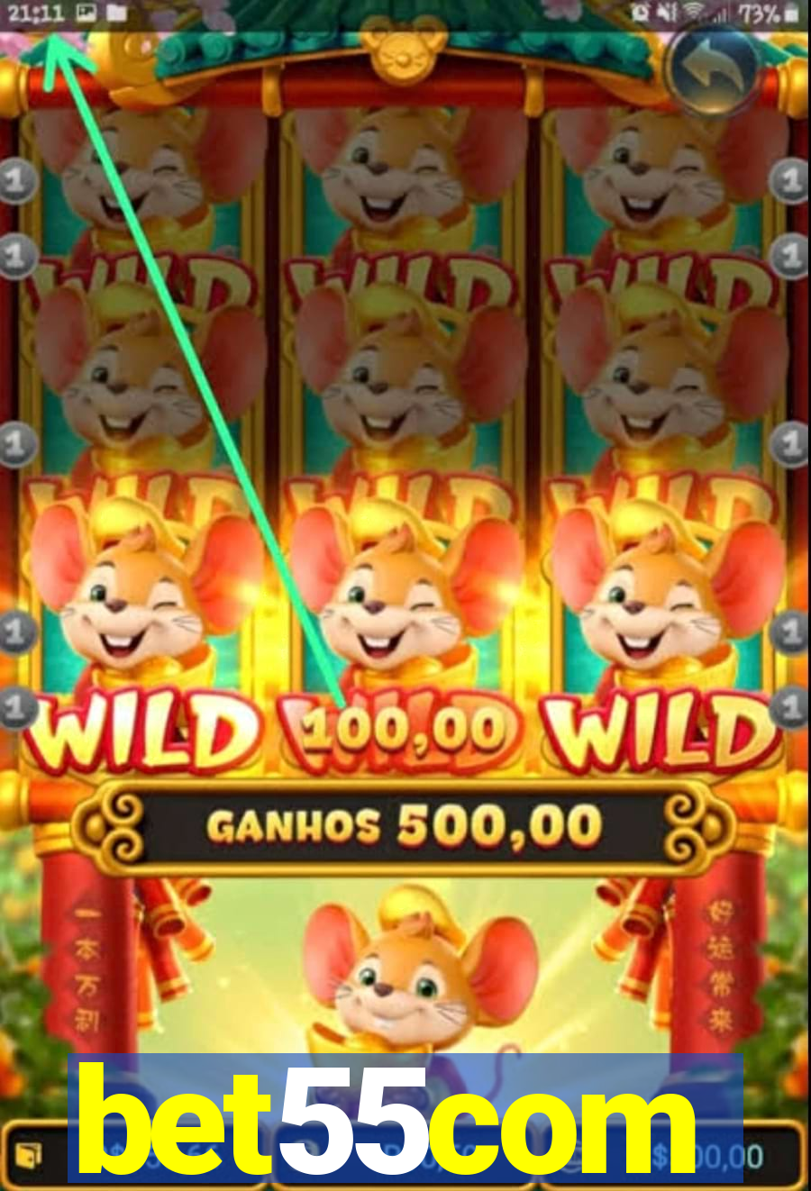 bet55com