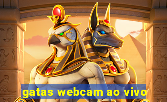 gatas webcam ao vivo