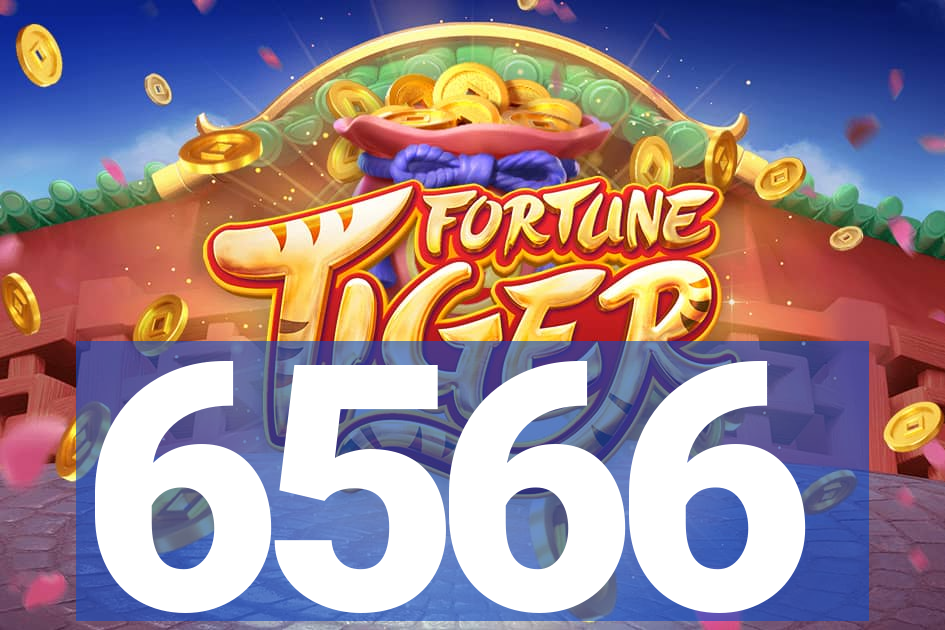 6566