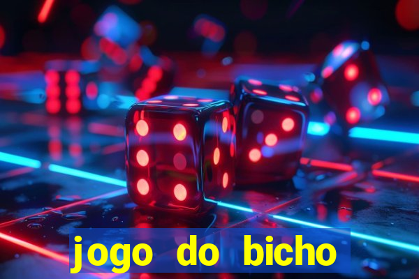 jogo do bicho crash bingo