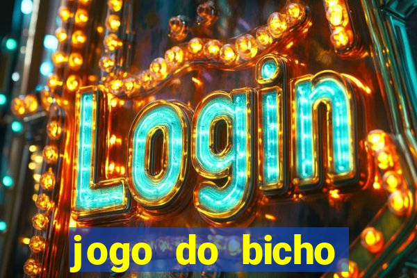 jogo do bicho crash bingo