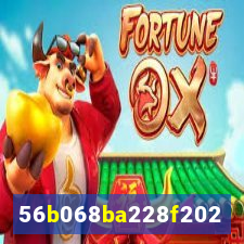play 6566