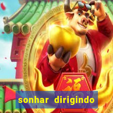 sonhar dirigindo carro jogo do bicho
