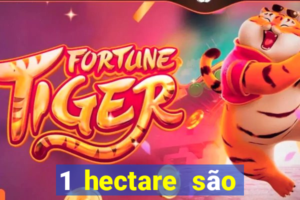 1 hectare são quantas tarefas na bahia