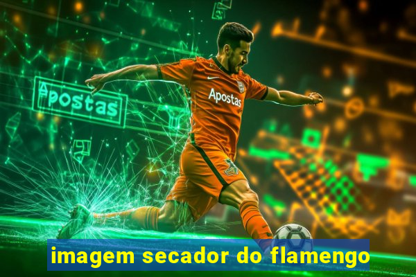 imagem secador do flamengo