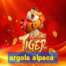 argola alpaca