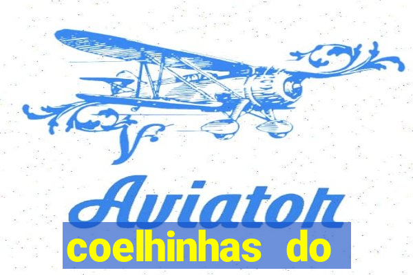 coelhinhas do brasil site
