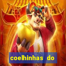 coelhinhas do brasil site