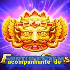 acompanhante de porto belo
