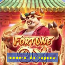 numero da raposa jogo do bicho