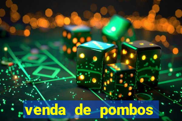 venda de pombos correios olx