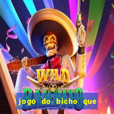 jogo do bicho que paga no pix
