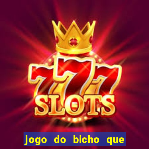 jogo do bicho que paga no pix